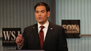 Republican Sen. Marco Rubio at the Republican debate, November 10, 2015. 